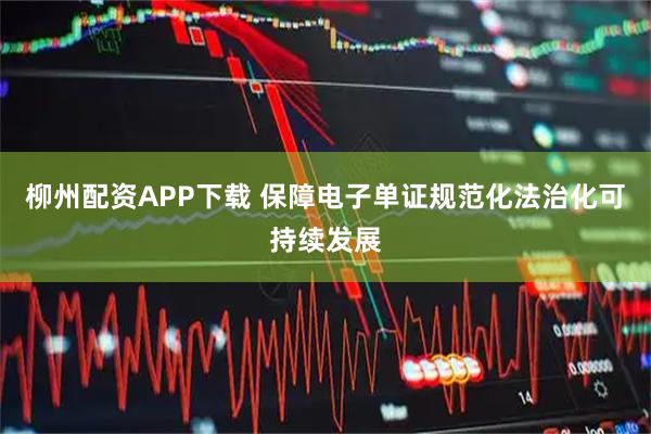柳州配资APP下载 保障电子单证规范化法治化可持续发展
